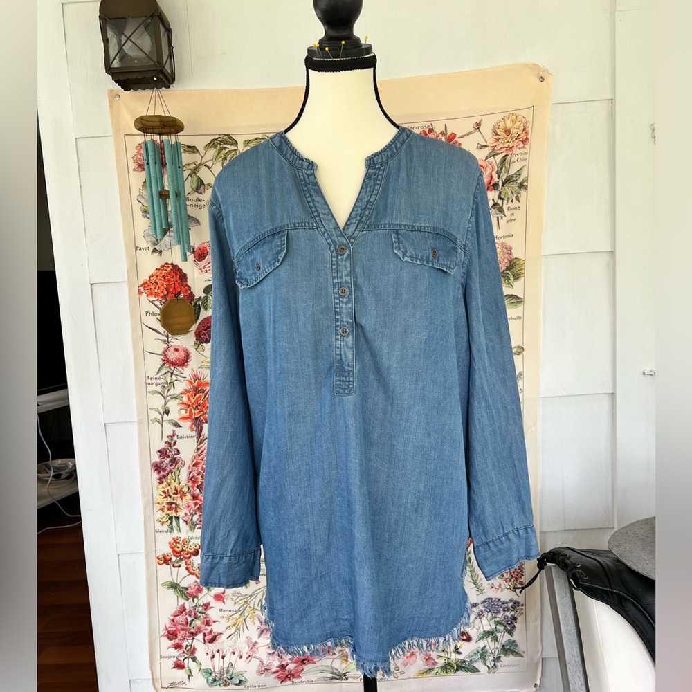 Hester and Orchard size L 💯 tencel denim long sleeved shirt. V neck, 3 buttons